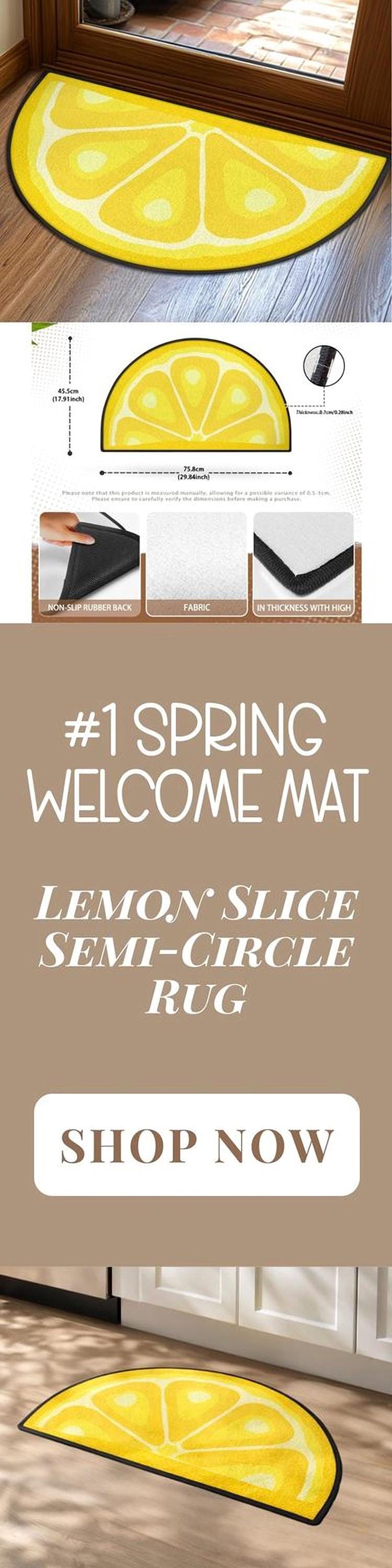Welcome Mat Entryway Rug Semi-Circle Lem Slice Rug Indoor Modern Design Carpet Accent Welcome Mat Mid Mod Rug Soft Short Pile Midmod Rug
